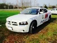 Sterlmar Equipment - Police Cruiser - Dodge Charger
